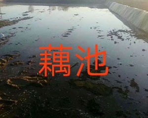 池防滲膜